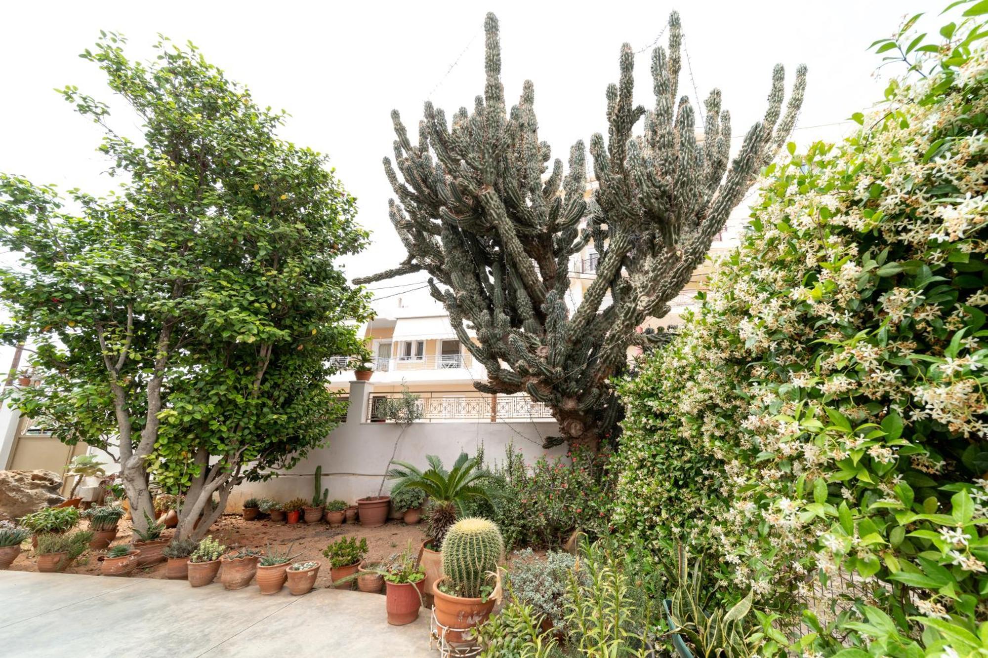 Cactus - Blooming Garden Apartments Καλαμάτα Εξωτερικό φωτογραφία